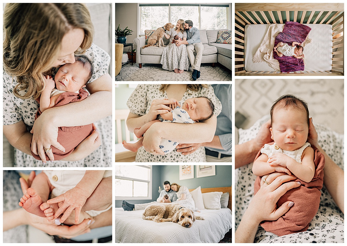 Upstate NY Photographer, Meg Mosher Photography
