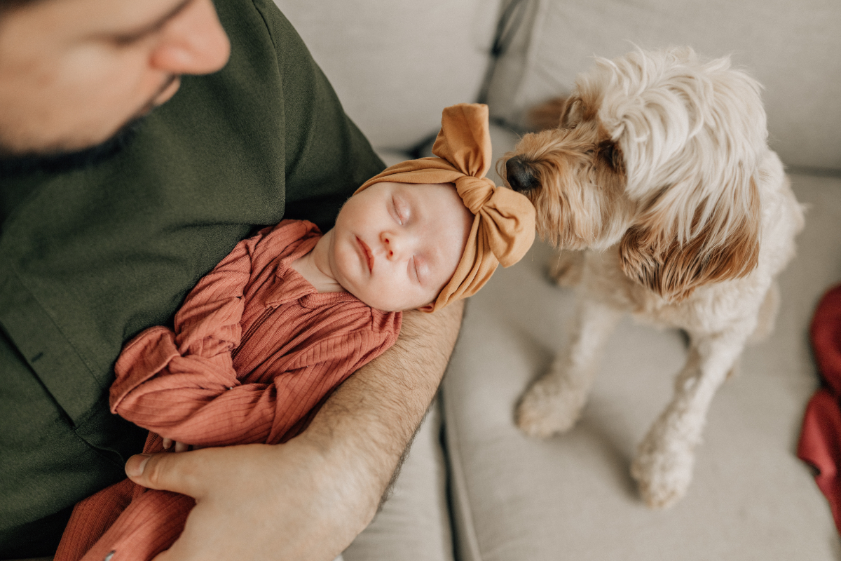 Sleeping newborn cradled in a parent’s arm as the family dog gently looks on during an in-home newborn photography session.