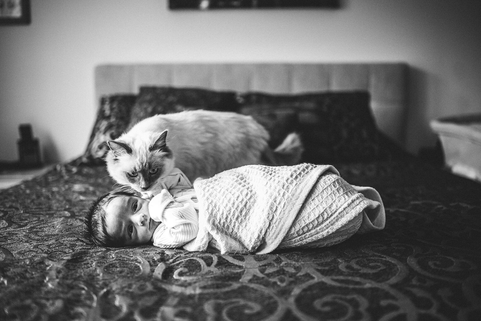 Black and white newborn photo on bed, preserving quiet moments from the first year of newborn photos.
