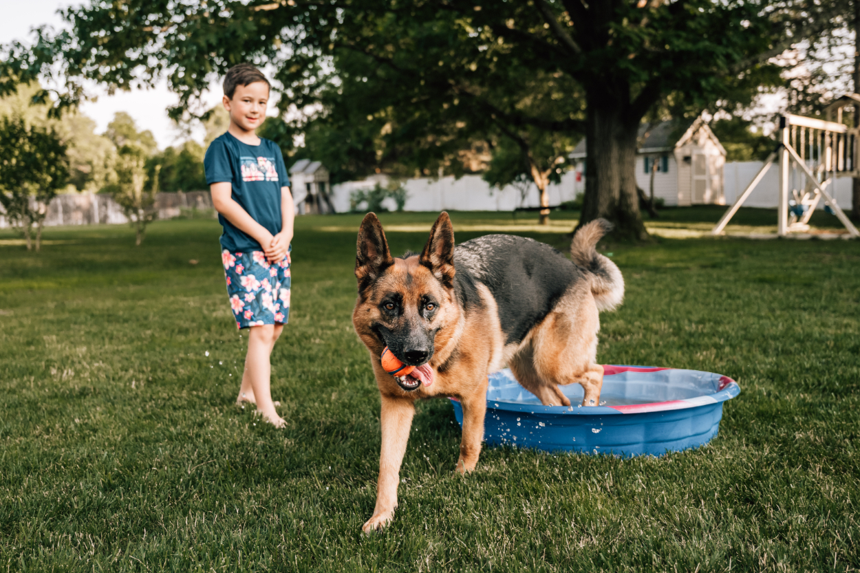 Child and dog playing in yard during a backyard photoshoot, showing candid, joyful everyday moments