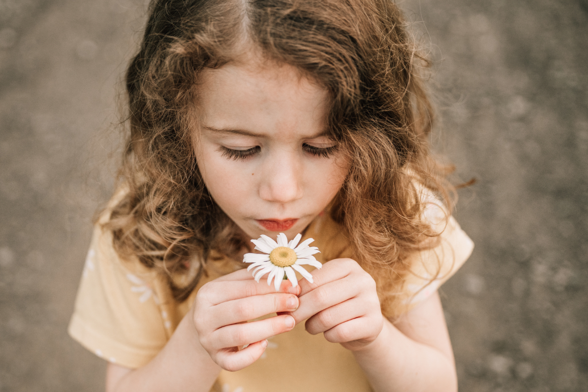 Spring family photos of young child holding daisy, soft light capturing quiet, candid moment outdoors